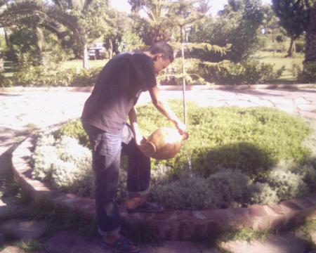 moha